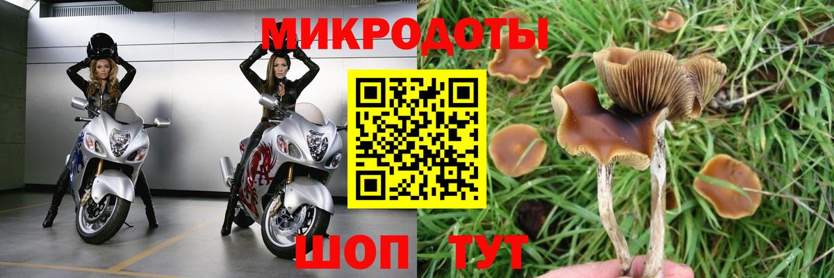 Балашов  купить  цена  Вход с VPN  Галлюциногенные грибы мицелий 